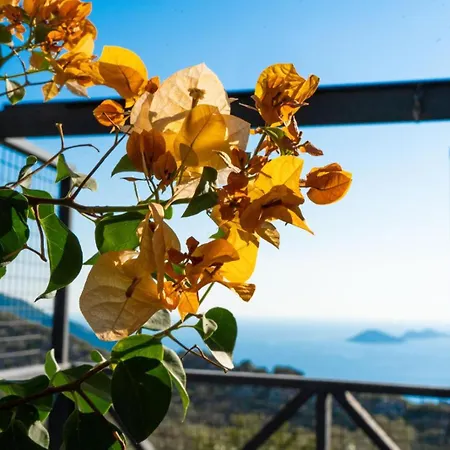 Apartment Deluxe Kalkan