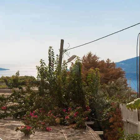 Deluxe Kalkan *
